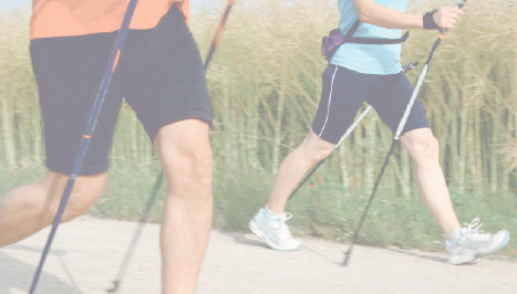 Bewegung, Gesundheitssport