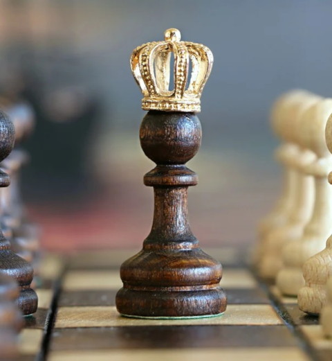 Schach dem Virus